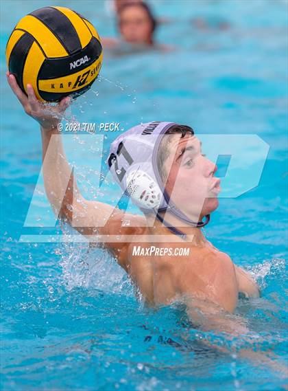Thumbnail 3 in El Modena @ Villa Park photogallery.