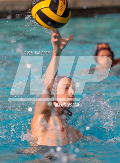 Thumbnail 2 in El Modena @ Villa Park photogallery.