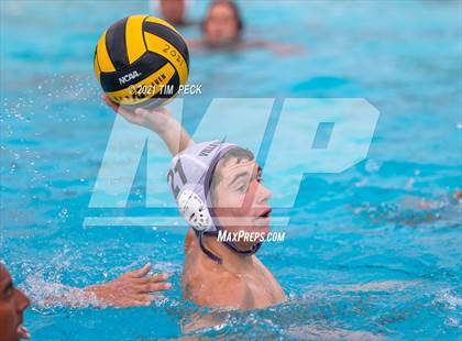 Thumbnail 1 in El Modena @ Villa Park photogallery.