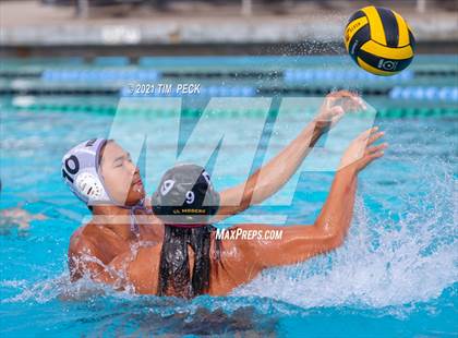 Thumbnail 2 in El Modena @ Villa Park photogallery.