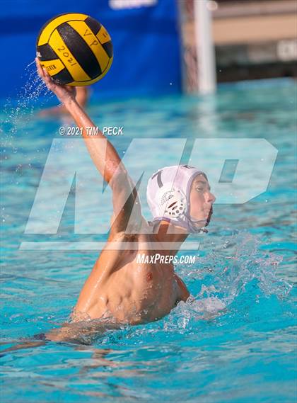 Thumbnail 3 in El Modena @ Villa Park photogallery.