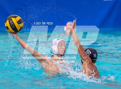 Thumbnail 1 in El Modena @ Villa Park photogallery.
