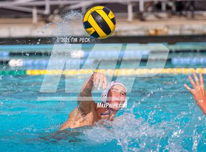 Thumbnail 2 in El Modena @ Villa Park photogallery.