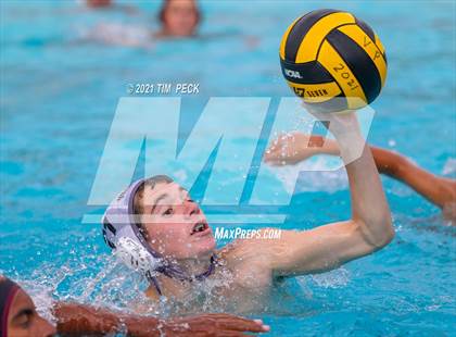 Thumbnail 3 in El Modena @ Villa Park photogallery.
