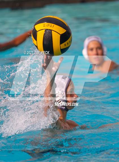Thumbnail 3 in El Modena @ Villa Park photogallery.