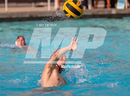 Thumbnail 2 in El Modena @ Villa Park photogallery.