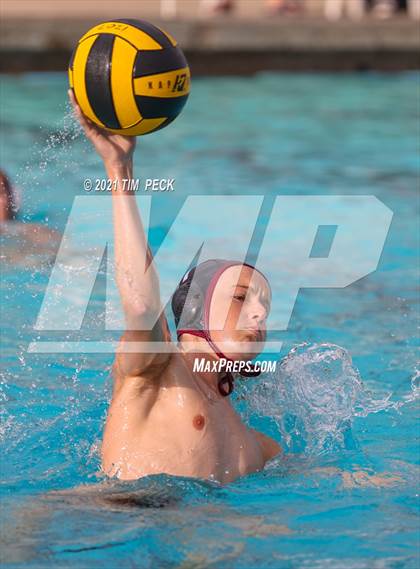 Thumbnail 1 in El Modena @ Villa Park photogallery.