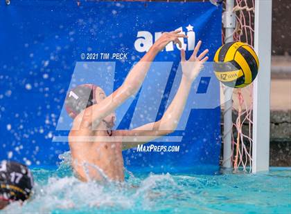 Thumbnail 2 in El Modena @ Villa Park photogallery.