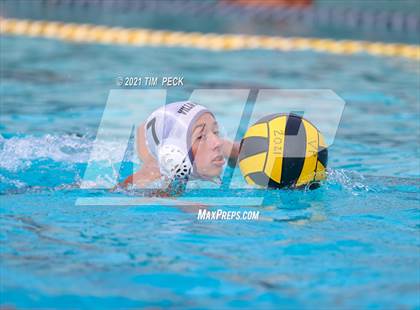 Thumbnail 3 in El Modena @ Villa Park photogallery.