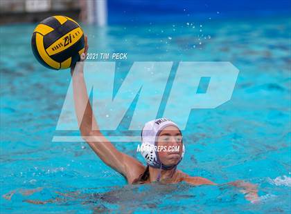 Thumbnail 3 in El Modena @ Villa Park photogallery.