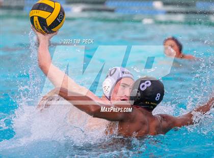 Thumbnail 3 in El Modena @ Villa Park photogallery.