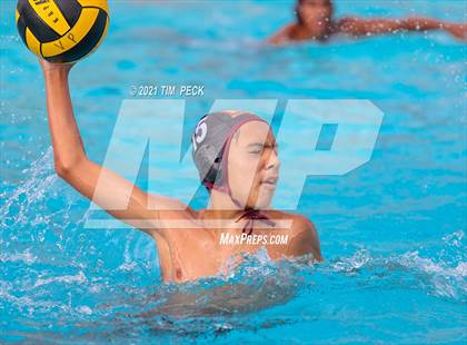 Thumbnail 1 in El Modena @ Villa Park photogallery.
