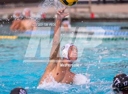 Thumbnail 3 in El Modena @ Villa Park photogallery.
