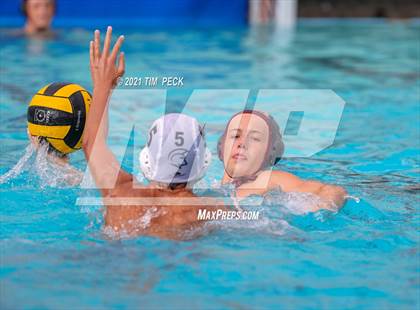 Thumbnail 1 in El Modena @ Villa Park photogallery.