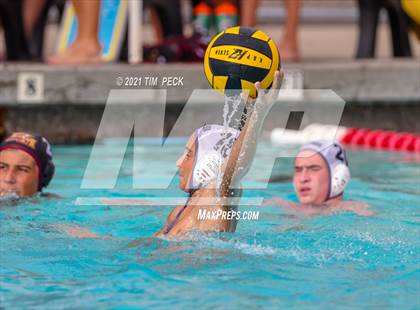 Thumbnail 3 in El Modena @ Villa Park photogallery.