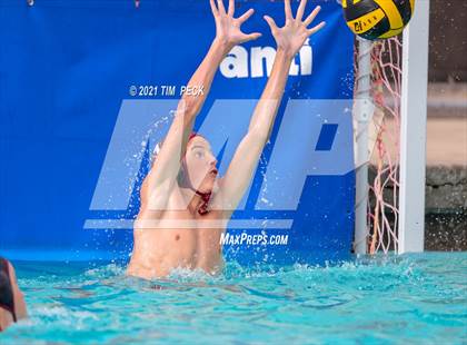 Thumbnail 3 in El Modena @ Villa Park photogallery.