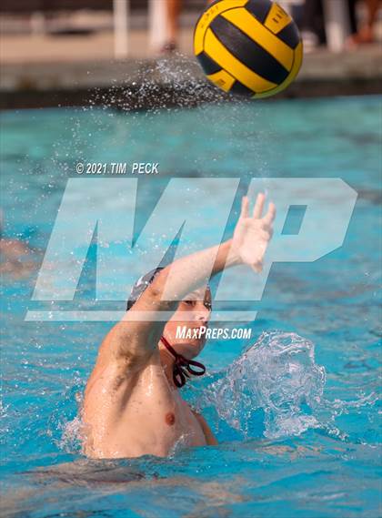 Thumbnail 3 in El Modena @ Villa Park photogallery.