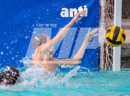 Thumbnail 3 in El Modena @ Villa Park photogallery.