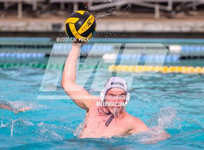 Thumbnail 2 in El Modena @ Villa Park photogallery.