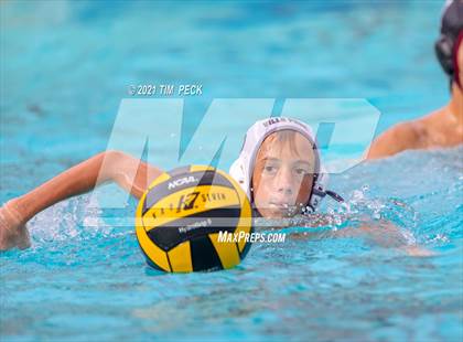 Thumbnail 1 in El Modena @ Villa Park photogallery.
