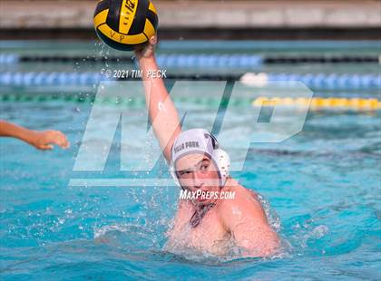 Thumbnail 1 in El Modena @ Villa Park photogallery.