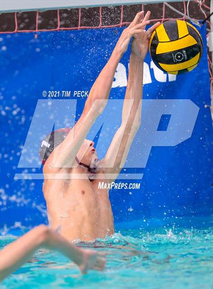 Thumbnail 2 in El Modena @ Villa Park photogallery.