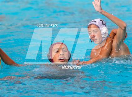 Thumbnail 3 in El Modena @ Villa Park photogallery.