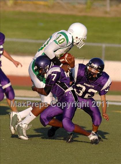 Thumbnail 3 in St. Joseph @ Righetti photogallery.