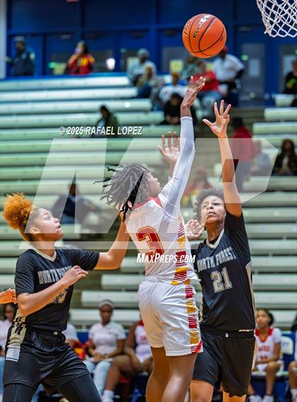 Thumbnail 1 in North Forest @ Yates photogallery.