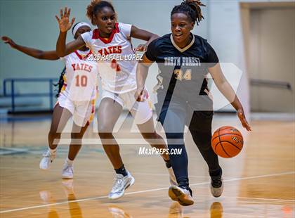 Thumbnail 1 in North Forest @ Yates photogallery.