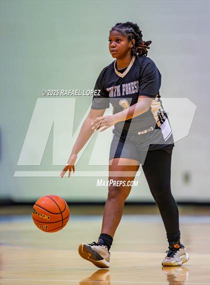 Thumbnail 1 in North Forest @ Yates photogallery.