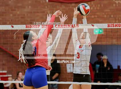 Thumbnail 2 in Indio @ Bishop Diego (CIF-SS D6 Round 1) photogallery.