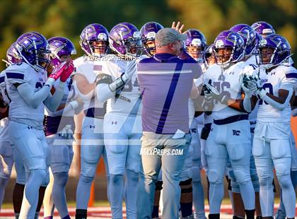 Thumbnail 1 in Magnolia vs Klein Cain photogallery.