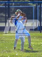 Photo from the gallery "Evergreen Valley @ Prospect"