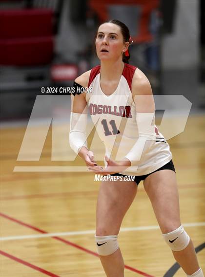 Thumbnail 1 in Mogollon vs South Mountain (The Florence VB Invitational) photogallery.
