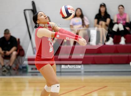 Thumbnail 1 in Mogollon vs South Mountain (The Florence VB Invitational) photogallery.