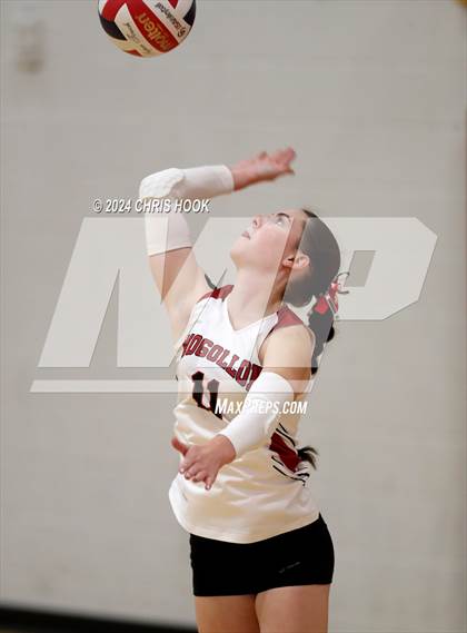 Thumbnail 2 in Mogollon vs South Mountain (The Florence VB Invitational) photogallery.
