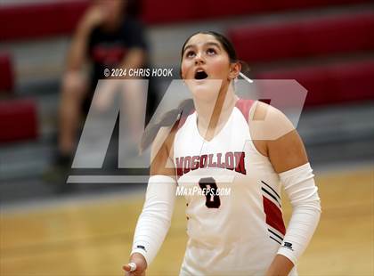 Thumbnail 1 in Mogollon vs South Mountain (The Florence VB Invitational) photogallery.