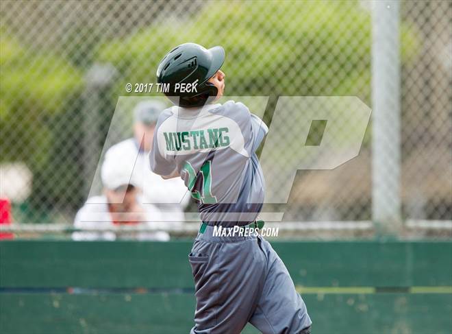 null - Photo 21