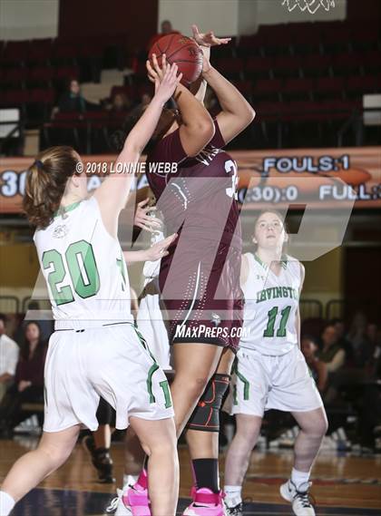 Thumbnail 2 in Irvington vs (Section 1 Class B Semifinal) photogallery.