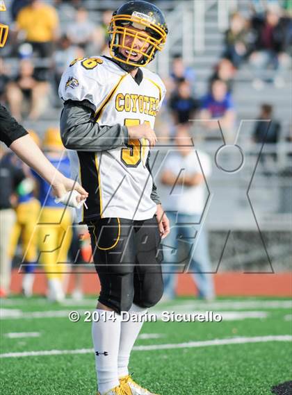 Thumbnail 3 in Tempe Prep vs. Arizona Lutheran Academy (AIA Division 5 Semifinal) photogallery.