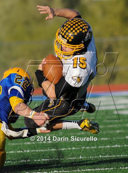Thumbnail 3 in Tempe Prep vs. Arizona Lutheran Academy (AIA Division 5 Semifinal) photogallery.