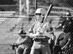 Photo from the gallery "Sierra @ Linden"