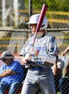 Photo from the gallery "Sierra @ Linden"