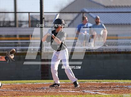 Thumbnail 1 in Chico @ Perrin-Whitt photogallery.