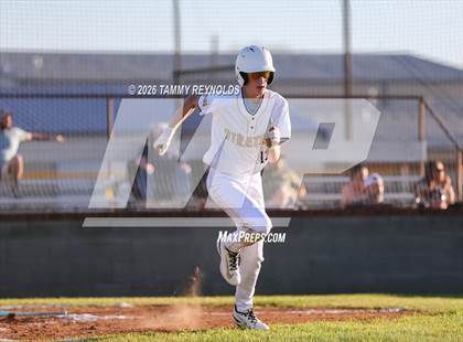 Thumbnail 1 in Chico @ Perrin-Whitt photogallery.