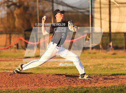 Thumbnail 3 in Chico @ Perrin-Whitt photogallery.