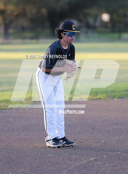 Thumbnail 1 in Chico @ Perrin-Whitt photogallery.