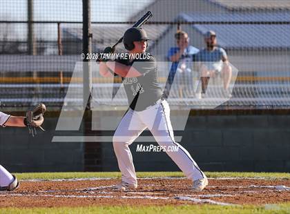Thumbnail 3 in Chico @ Perrin-Whitt photogallery.