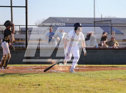 Thumbnail 1 in Chico @ Perrin-Whitt photogallery.